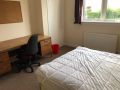 5ChamberlainStreet Bedroom StAndrewsPropertyLets 02